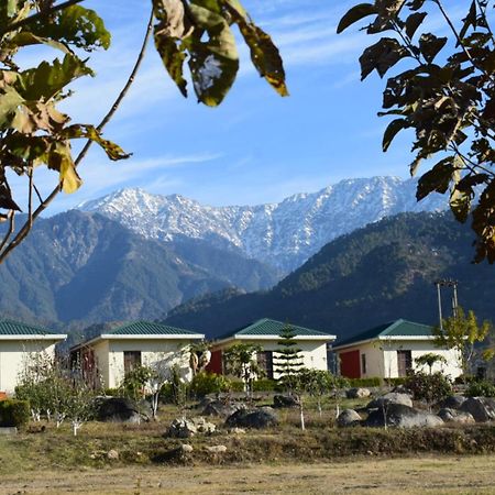 Dhauladhar View Village Resort Дармсала Экстерьер фото
