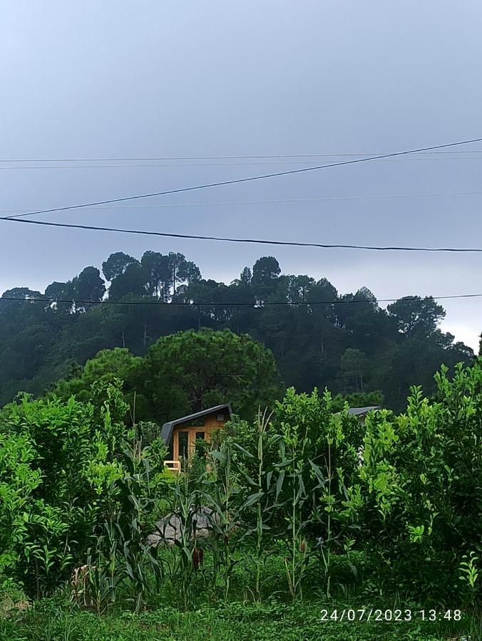 Dhauladhar View Village Resort Дармсала Экстерьер фото