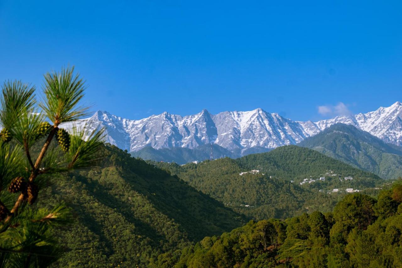 Dhauladhar View Village Resort Дармсала Экстерьер фото